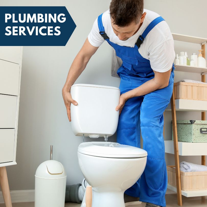 Plumbing Company in Fraser, MI